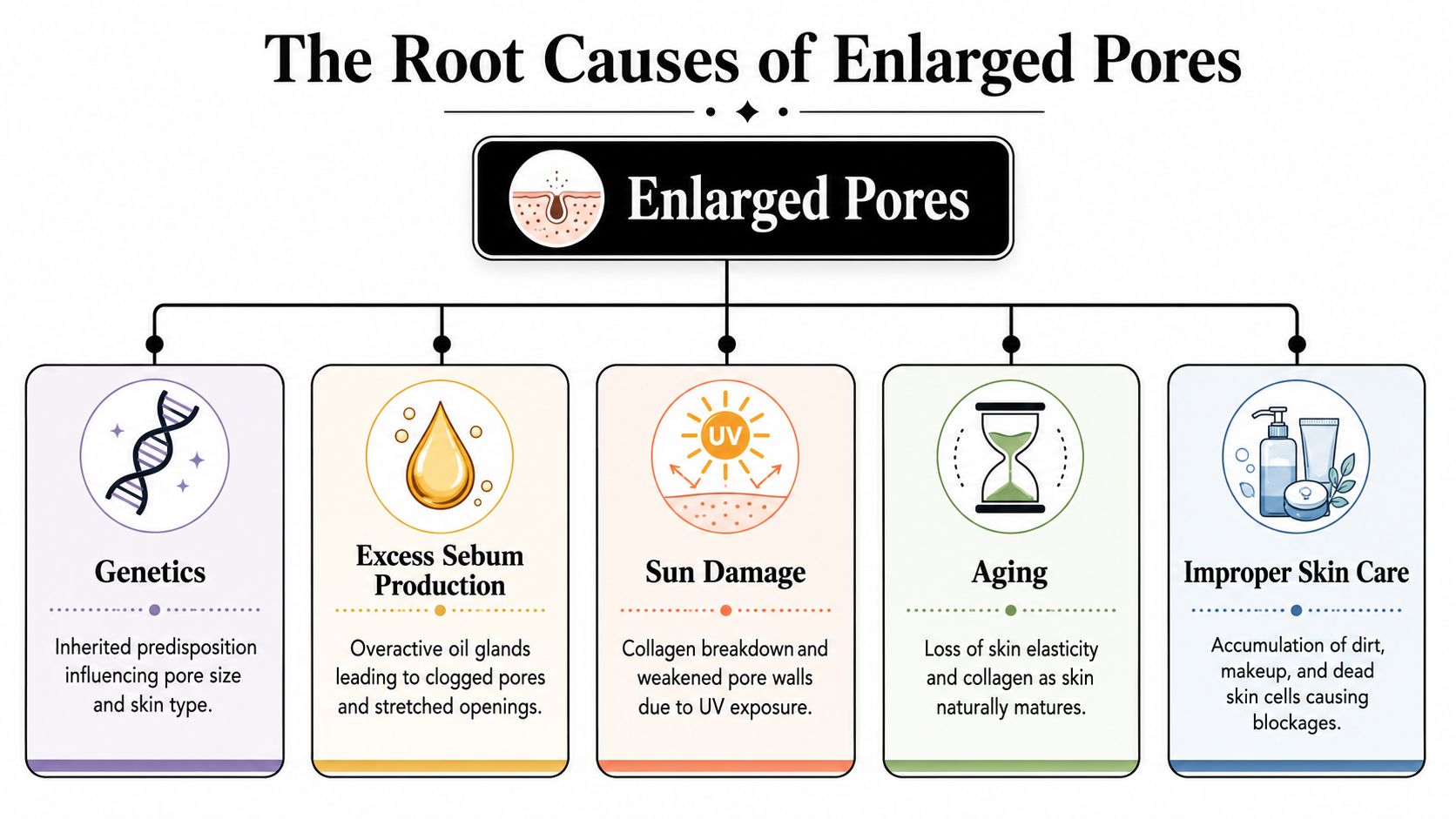 A diagram illustrating the five main root causes of enlarged pores, including genetics, excess oil, and aging.