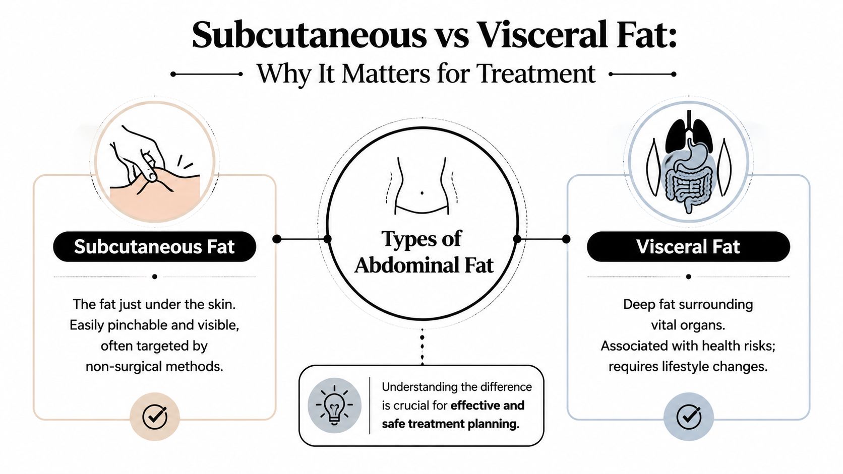 A diagram comparing subcutaneous fat under the skin and visceral fat surrounding internal organs for treatment planning.
