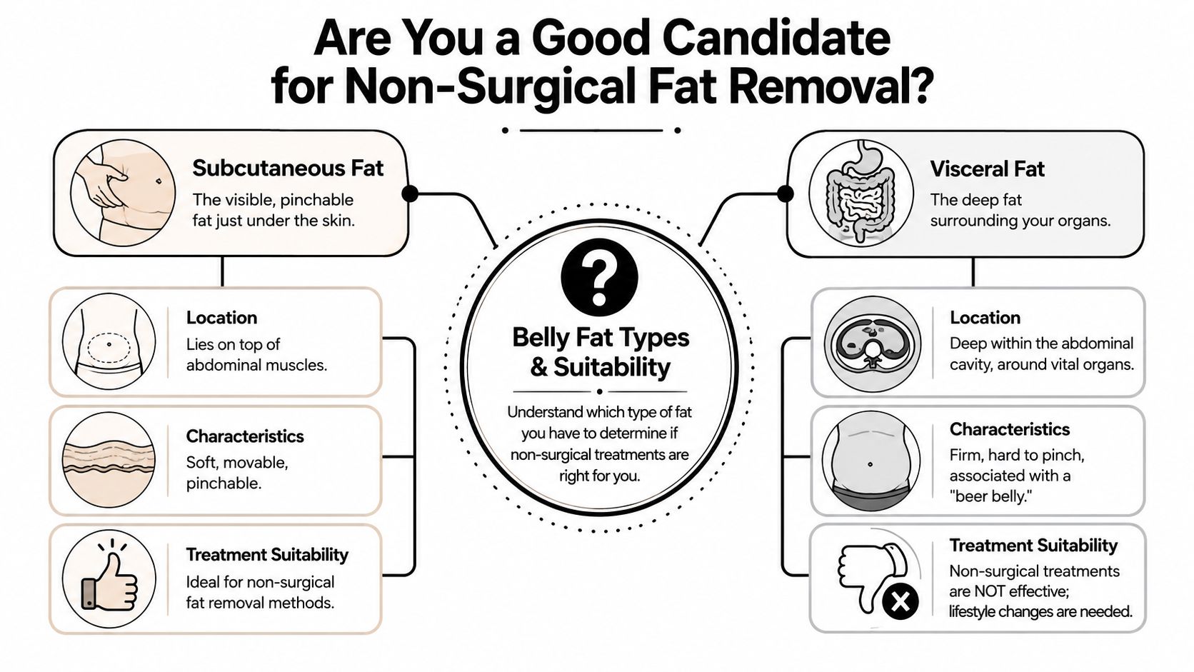 An infographic comparing subcutaneous and visceral fat to determine suitability for non-surgical fat removal treatments.